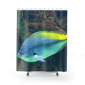 Light Blue and Yellow Fish Shower Curtains