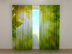 Photo Curtain Summer Sun