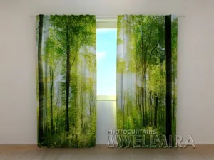 Photo Curtain Sun Rays