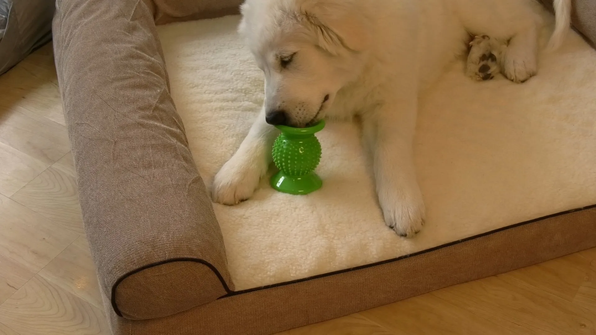Rolly Cannoli Treat Toy