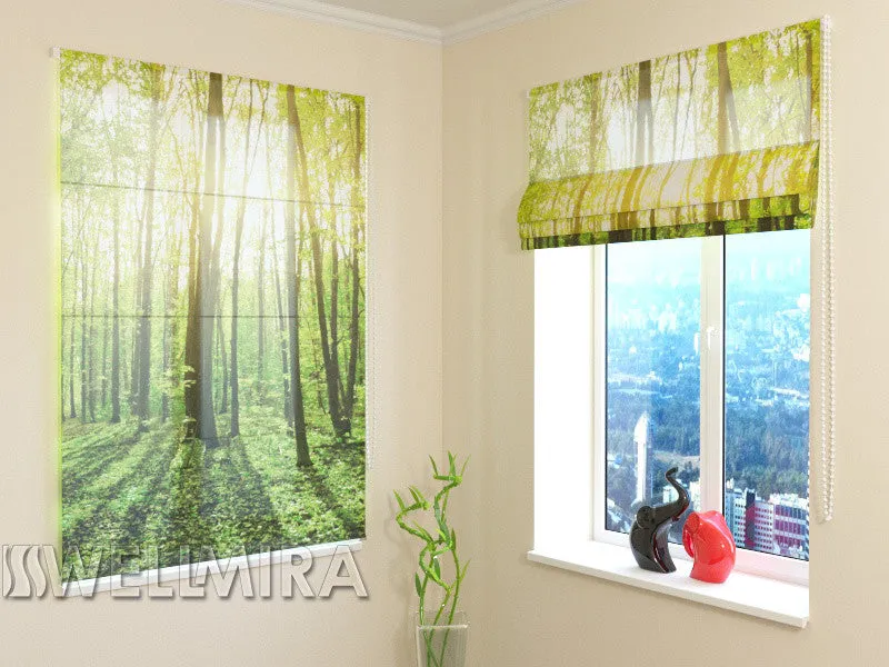 Roman Blind Sun rays 2