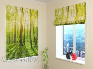 Roman Blind Sun rays 2