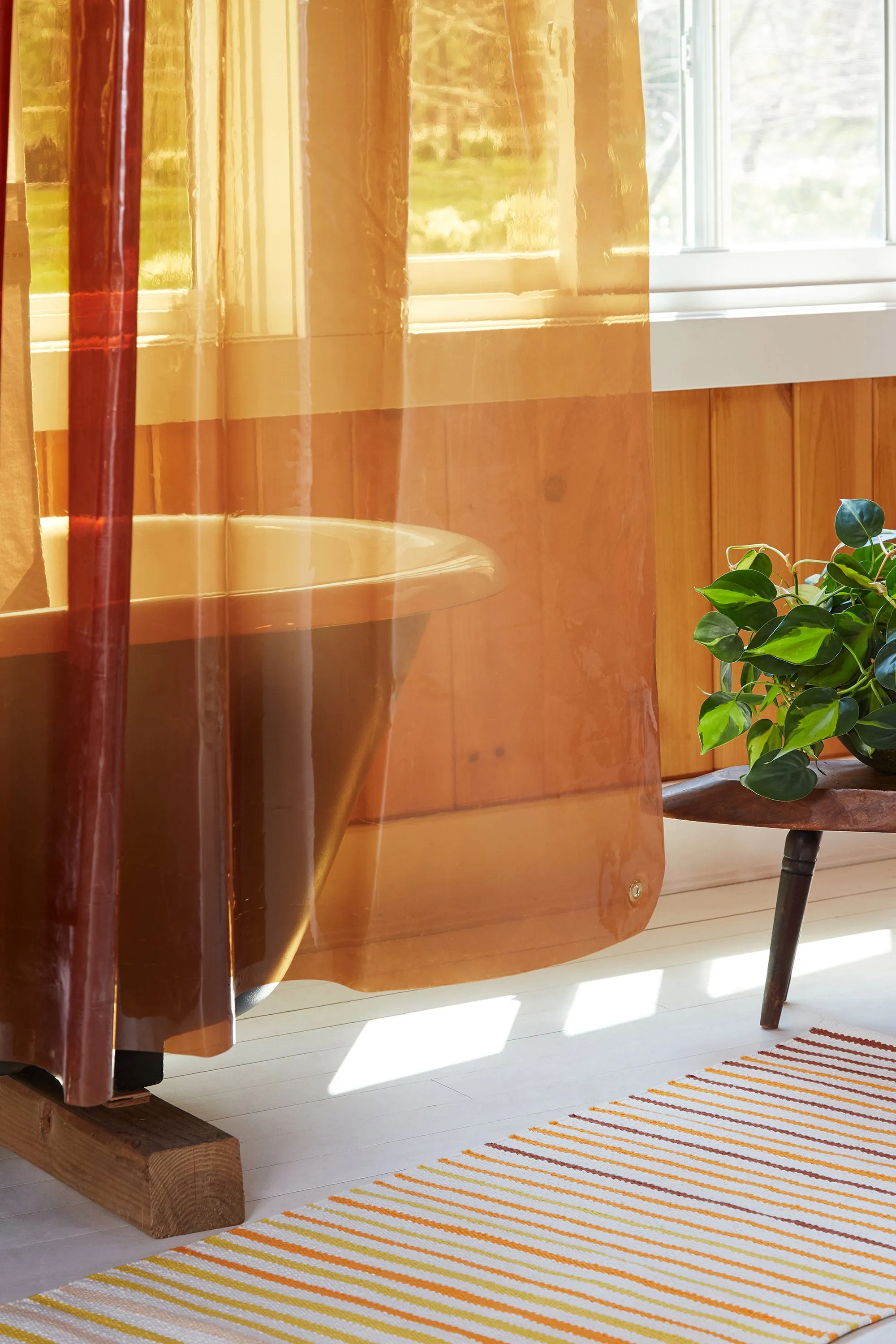Sun Shower Honey
