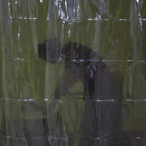 WELDING CURTAIN GREEN   1800 x 1800